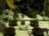 120610-Day3.jpg