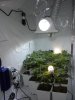 DSCN0628.jpg