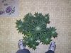 #10day46top.jpg #10day46top.jpg