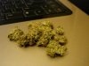 DSC05262.jpg