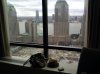 IMG_20101029_140827.jpg