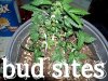 100_5421.JPG