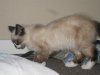 IMG_3748.jpg