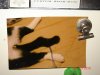 the tail.jpg