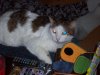 100_2799.jpg