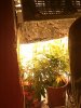 IMAG0627.jpg