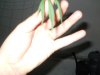 DSCN0710.jpg
