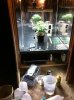 1st Grow K2 Kush (32).jpg 1st Grow K2 Kush (32).jpg
