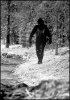 Sasquatch_Snow_Pic_Large.jpg