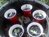0508081357.jpg