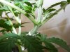 2008_0507Easter0016.jpg