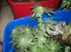 100_0640.jpg