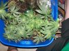 100_0643.jpg