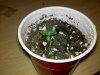 2011-01-01_15-11-07_276.jpg