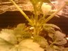 2011-01-01_19.19.14.jpg