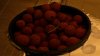 P1010090.jpg