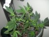 DSCN2601.jpg