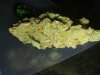 Trainwreck greenplace.jpg Trainwreck greenplace.jpg