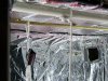 100_0721.jpg
