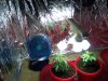 100_0717.jpg