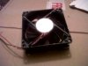 IMG00323-20110107-0325.jpg