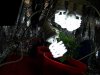 100_0731.jpg