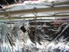 100_0732.jpg