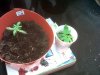 special k#2 - ak48#2.jpg