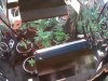 IMG00060-20110108-1736.jpg