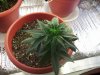100_0026.jpg