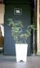 IMAG0058.jpg