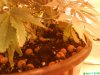 DSC00732.jpg