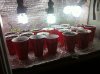 IMG_0248.jpg