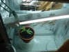 DSC00857.jpg