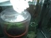 DSC00863.jpg