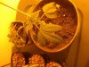 2011-01-11 01.27.04.jpg