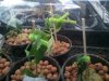 2011-01-11 01.31.04.jpg