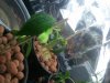 2011-01-11 01.31.14.jpg