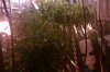 IMAG0051.jpg