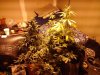 2010-11-22 14.01.57.jpg