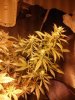 2010-11-16 11.52.30.jpg