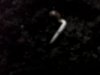 IMG00343-20110112-1955.jpg