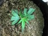 2011-01-13_13-33-59_401.jpg