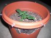 january 13, 2011 003.jpg january 13, 2011 003.jpg