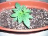 january 13, 2011 007.jpg january 13, 2011 007.jpg