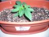 january 13, 2011 005.jpg january 13, 2011 005.jpg