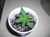 january 13, 2011 009.jpg january 13, 2011 009.jpg