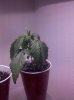 IMG_20110114_213720.jpg IMG_20110114_213720.jpg