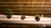 2010-11-21_10-20-36_196.jpg
