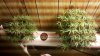 2010-12-18_01-32-04_952.jpg 2010-12-18_01-32-04_952.jpg